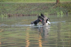 IMG_1210komp.JPG IMG_1210komp.JPG