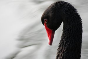 IMG_1279komp.JPG IMG_1279komp.JPG