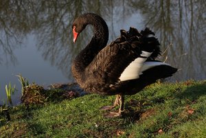 IMG_1385komp.JPG IMG_1385komp.JPG