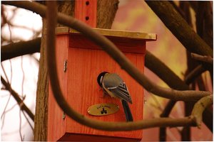 soll ich hier jetzt einziehen 500 kbsoll ich jetzt hier einziehen 1.jpg