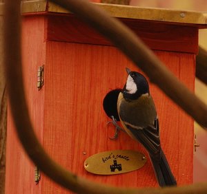 soll ich hier jetzt einziehen 500 kbsoll ich jetzt hier einziehen 2.jpg