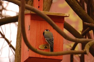 soll ich hier jetzt einziehen 500 kbsoll ich jetzt hier einziehen 3.jpg
