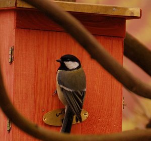 soll ich hier jetzt einziehen 500 kbsoll ich jetzt hier einziehen.jpg