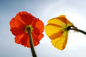 DSCN0695-1.JPG DSCN0695-1.JPG