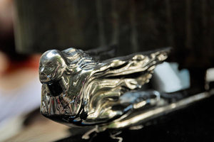 sample 8.jpg sample 8.jpg