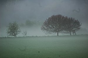 dsc_0677_ji_c.jpg dsc_0677_ji_c.jpg