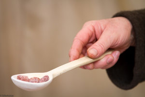 Bourtange-20120413-1.jpg Bourtange-20120413-1.jpg