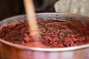 Bourtange-20120413-2.jpg Bourtange-20120413-2.jpg