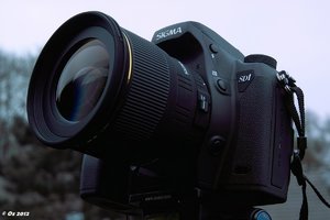 Hanzo_SDIM3993.jpg Hanzo_SDIM3993.jpg