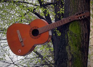 Baumgitarre1000.jpg