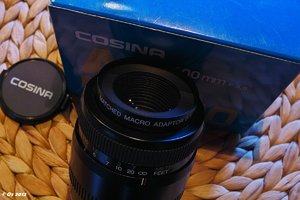 cosina_SDIM4999.jpg