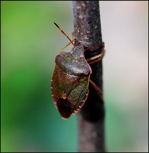 DSC_4828_filtered1.jpg DSC_4828_filtered1.jpg