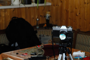 3SC_0007.JPG 3SC_0007.JPG