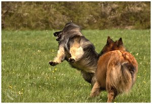 comp__DSC9020 -1.jpg