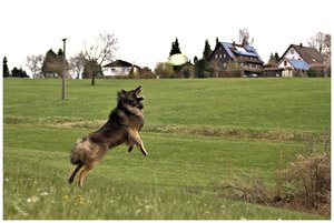 2comp__DSC9052 -1.jpg