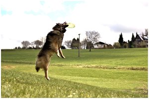 3comp__DSC9059 -1.jpg