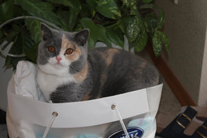 Kopie von IMG_2261.JPG