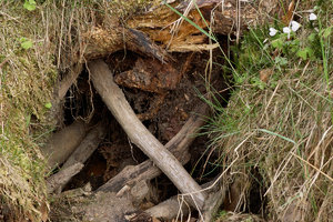 2012_04_23_SD15_RagoeseBiber_eingebrochener_Gang_0019_1200pix.jpg 2012_04_23_SD15_RagoeseBiber_eingebrochener_Gang_0019_1200pix.jpg