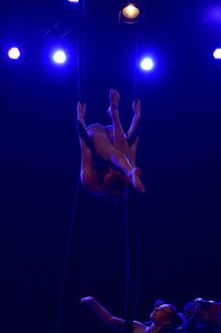 DSC_4230_ji_c.jpg DSC_4230_ji_c.jpg