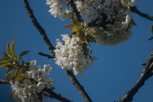 20120430-Test500-VR1_9814.jpg 20120430-Test500-VR1_9814.jpg