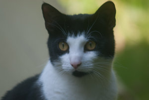 20120430-Fritzi-VR1_9831.jpg 20120430-Fritzi-VR1_9831.jpg