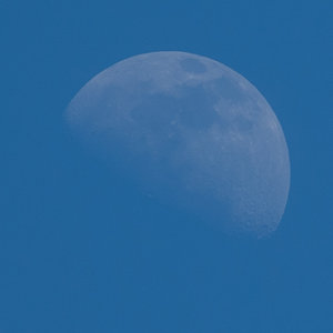 20120430-Mond-VR1_9838crop.jpg 20120430-Mond-VR1_9838crop.jpg
