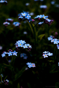 1shot1moment@bilderforum (1 von 4).jpg