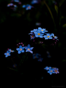 1shot1moment@bilderforum (2 von 4).jpg