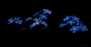 1shot1moment@bilderforum (3 von 4).jpg