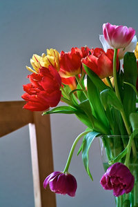 SDIM0387 - Arbeitskopie 2.jpg