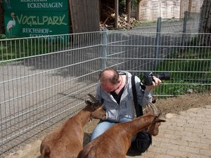 GEDC4307forum.JPG GEDC4307forum.JPG