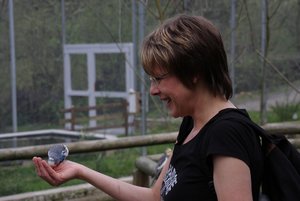 IMG_2980forum.JPG IMG_2980forum.JPG