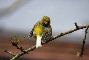 IMG_2944.JPG IMG_2944.JPG