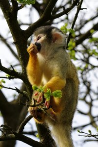 IMG_3177forum.JPG IMG_3177forum.JPG