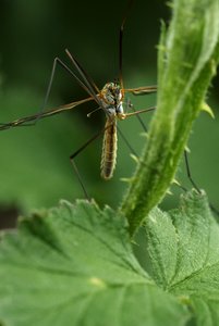 SAM_5276.jpg SAM_5276.jpg