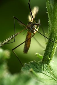 SAM_5284.jpg SAM_5284.jpg