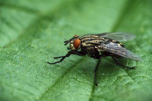 SAM_5306.jpg SAM_5306.jpg