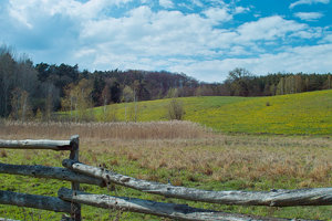 2012_04_22_SD15_Chorin_ChampignonKuhwiese_9C_3M_0003_1200pix.jpg 2012_04_22_SD15_Chorin_ChampignonKuhwiese_9C_3M_0003_1200pix.jpg