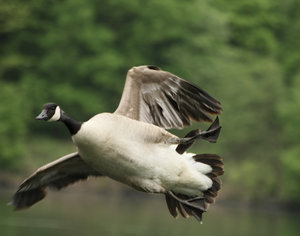 IMG_2136.jpg IMG_2136.jpg