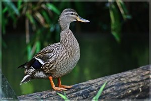 sample 23.jpg sample 23.jpg