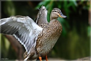 sample 24.jpg sample 24.jpg