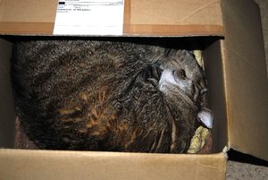 3SC_0002.JPG 3SC_0002.JPG