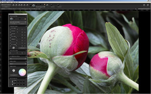 manfred1.jpg manfred1.jpg