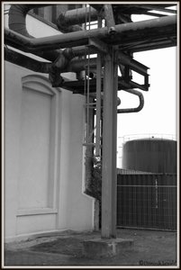 SAM_1472neu.JPG SAM_1472neu.JPG