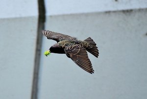 Kopie von DSC_8684_02.JPG