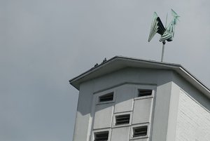 taube6.JPG taube6.JPG