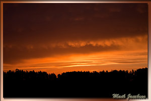 IMG_1870 Kopie_filtered.jpg