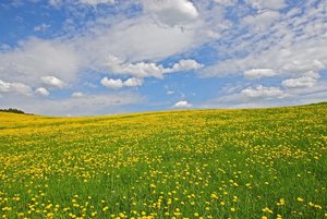 Einfach nur bunt.jpg