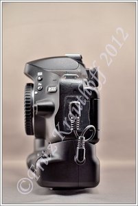 DSC_4994.JPG DSC_4994.JPG