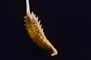 f2012-05-18-15.29.22 ZS PMax UDR_crop.jpg